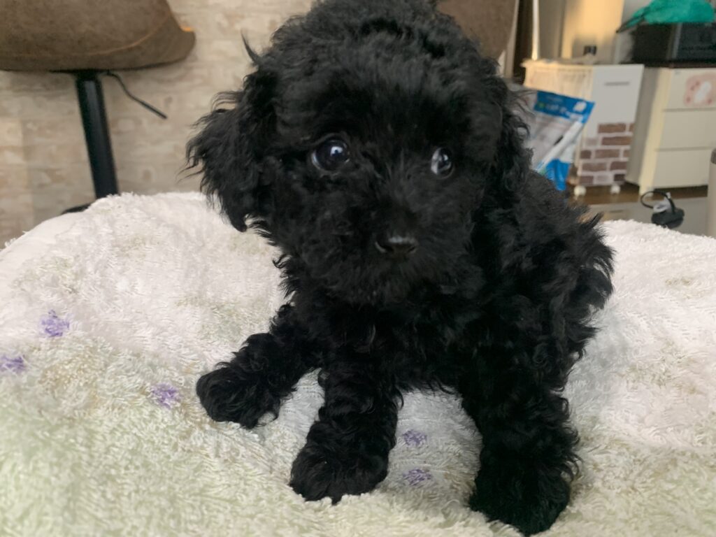 BETTY