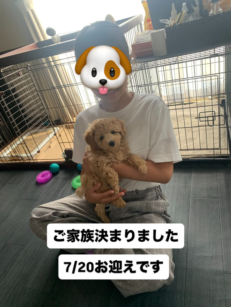 ご家族様決まりました！7/20お迎えです