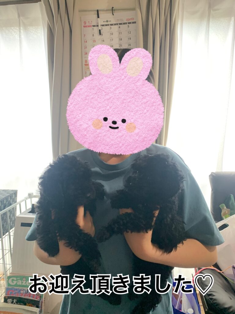 7/12　黒プー兄妹ご家族様決まりました
