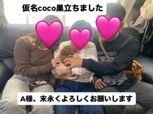 仮名coco ご家族様決まりました