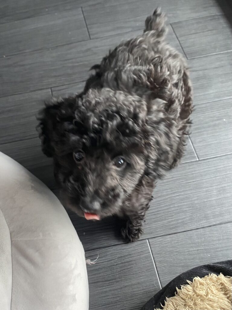 DIANE（ダイアン）