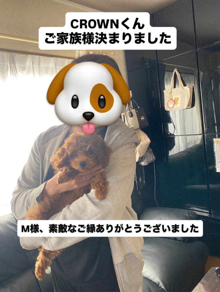 仮名crownくん　ご家族様決まりました