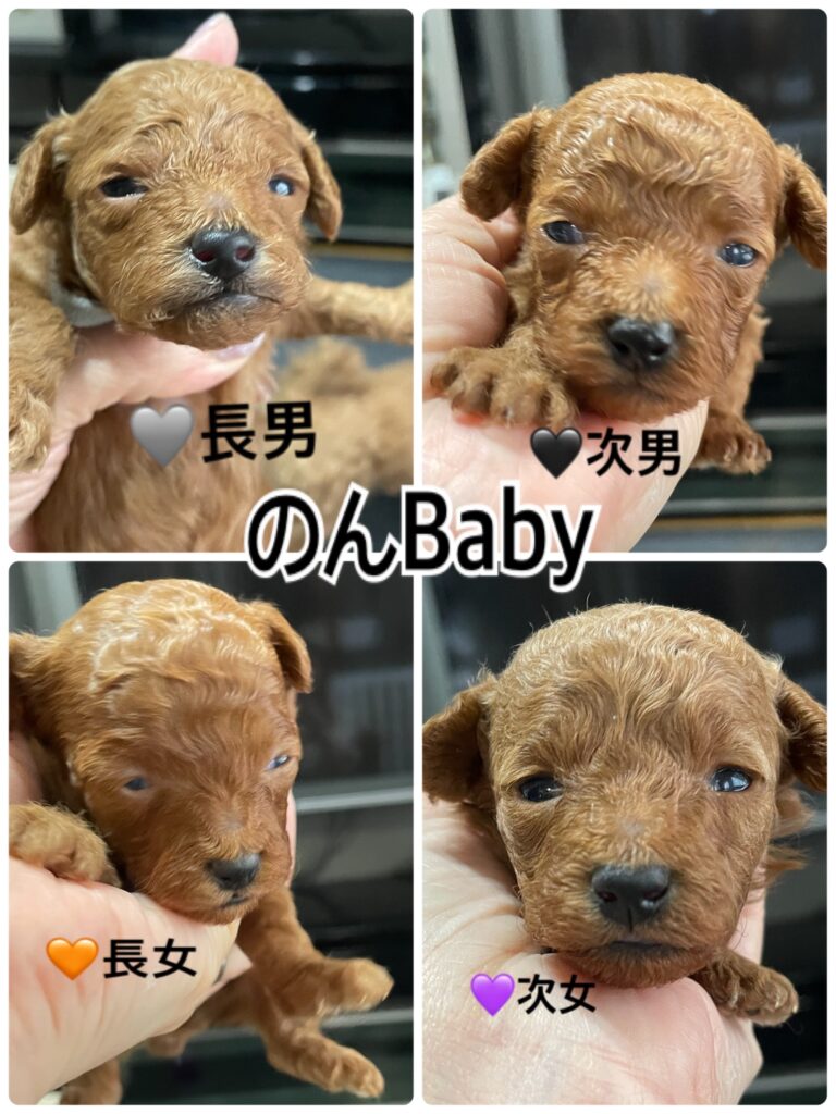 のんbaby開眼しました！