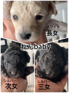 れんbaby開眼しました！