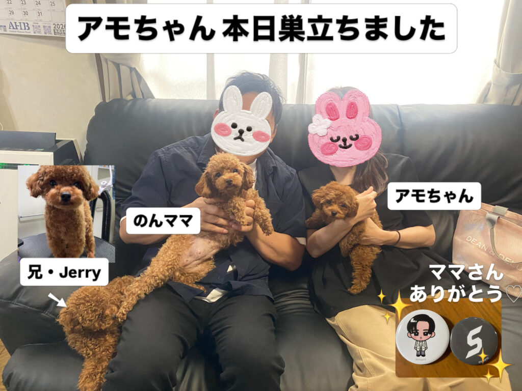のんbaby長女アモちゃん7/1巣立ちました