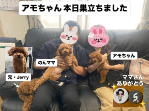 のんbaby長女アモちゃん7/1巣立ちました