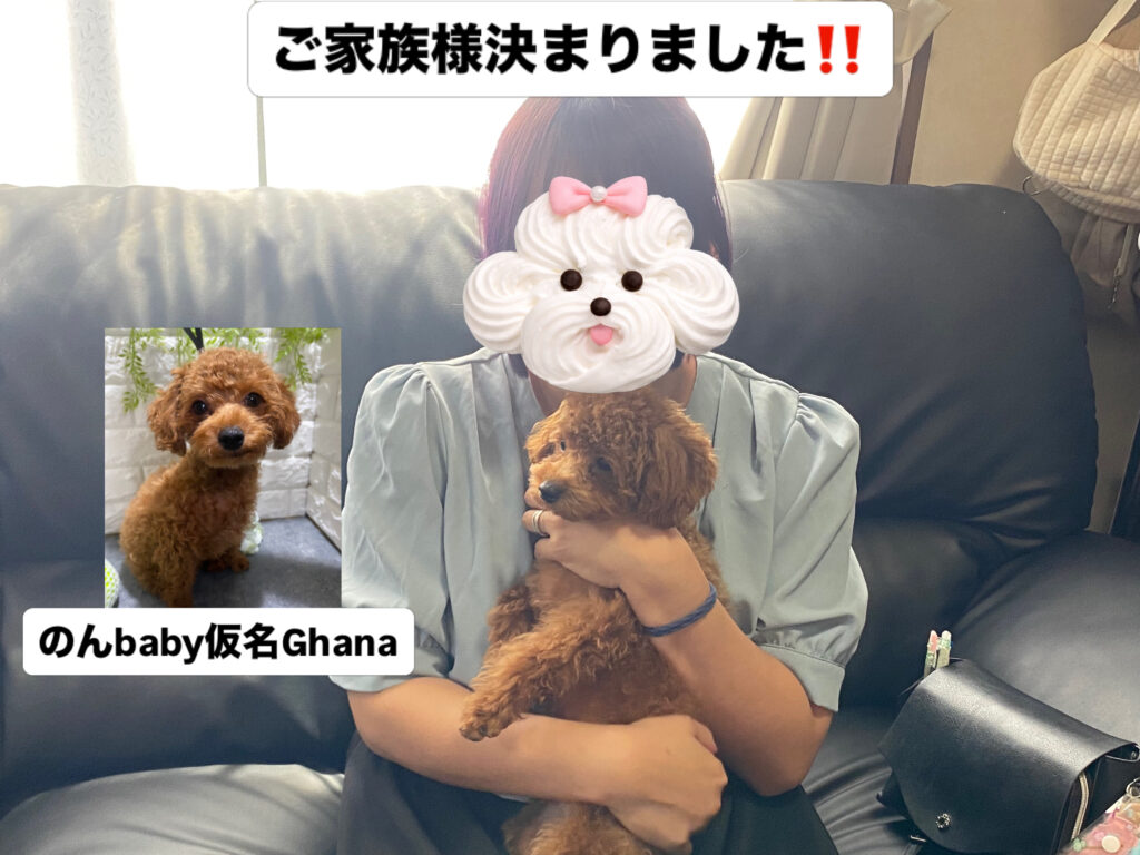 8/11 仮名Ghanaくんご家族様決まりました！