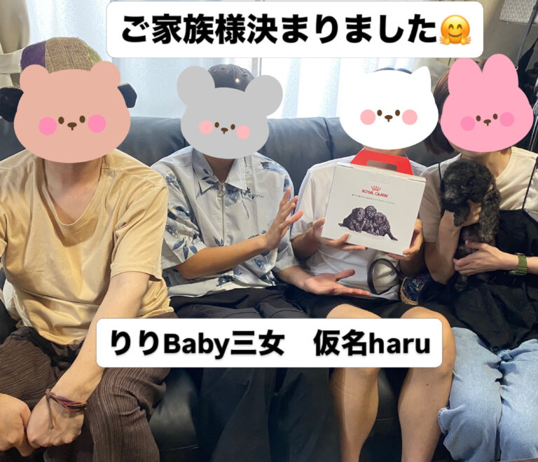 8/1　りりbabyご家族様決まりました