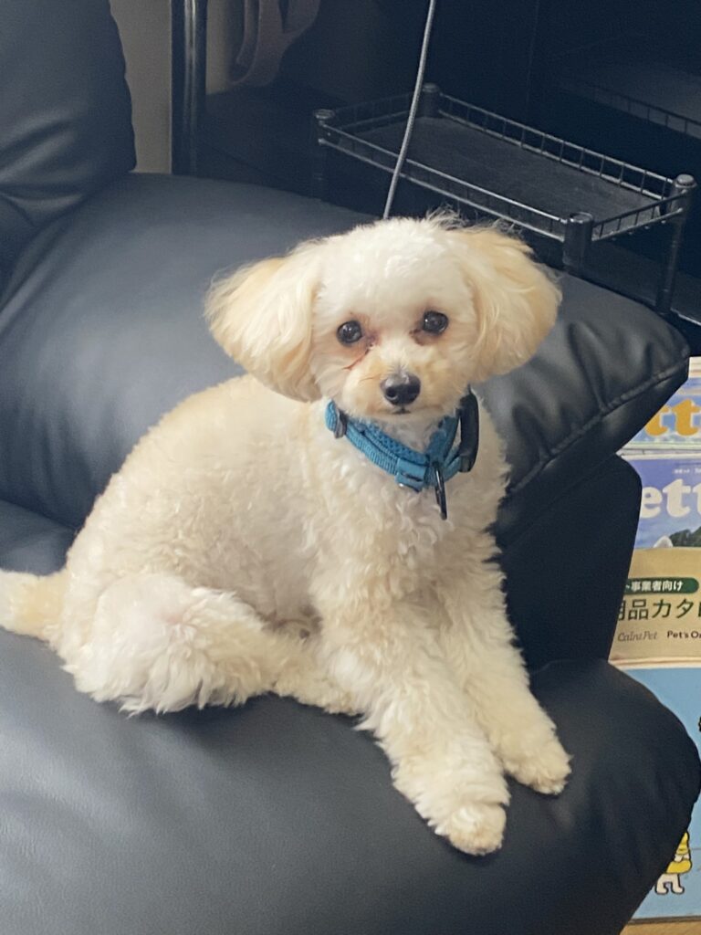 LUCAくん 8/10～8/13　お預かりしています