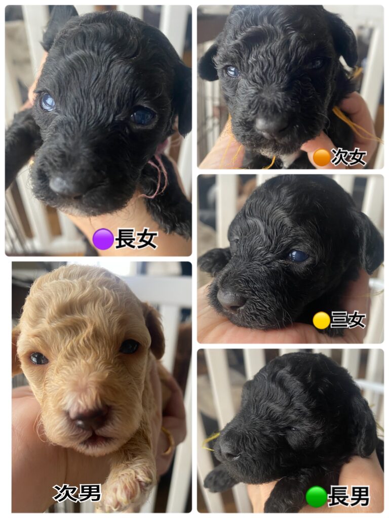 くぅ5baby　全員開眼しました！